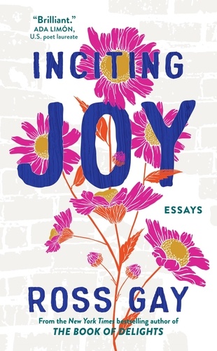 Inciting Joy. Essays