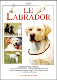 Le Labrador