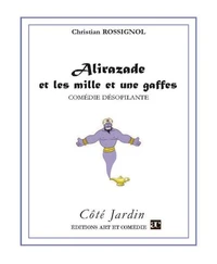 Alirazade et les mille et une gaffes