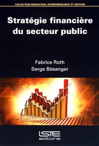 Stratégie financière du secteur public
