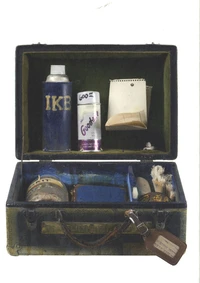 Yves Klein USA