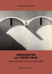 Réinventer la terre crue