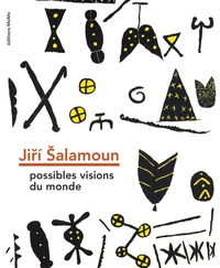 Jiří Šalamoun