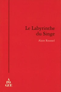 Le labyrinthe du singe