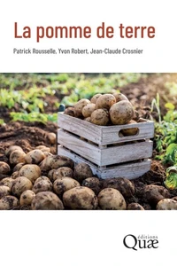 La pomme de terre