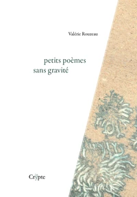Petits poèmes sans gravité