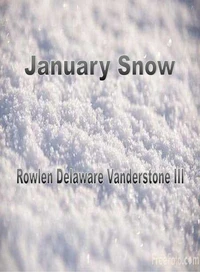 January Snow