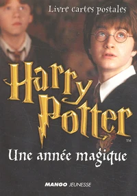 Harry Potter : Une année magique.