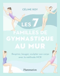 Les 7 familles de gymnastique au mur