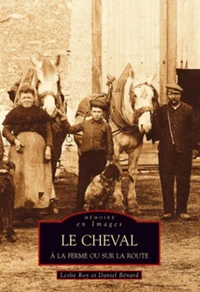 Le cheval à la ferme ou sur la route