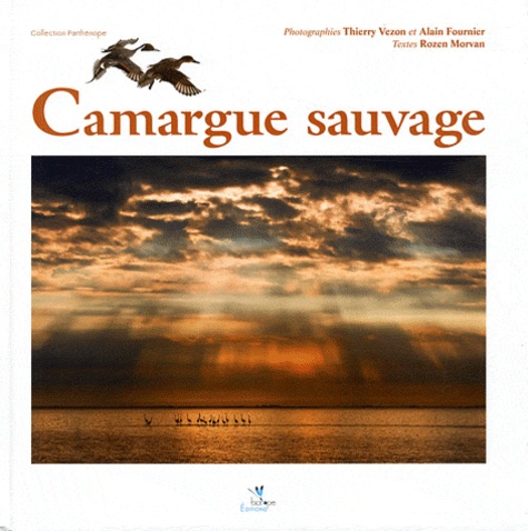 Rozen Morvan - Camargue sauvage.