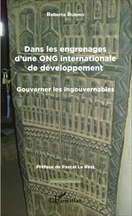 Dans les engrenages d'une ONG internationale de développement
