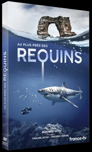 Au plus près des requins