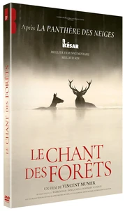 Le chant des forets
