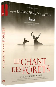 Le Chant des forêts