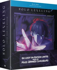 Solo Leveling