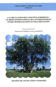 La circulation des concepts juridiques : le droit international de l'environnement entre mondialisation et fragmentation