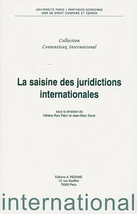 La saisine des juridictions internationales