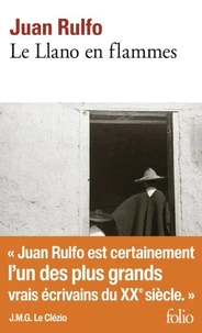 Le Llano en flammes