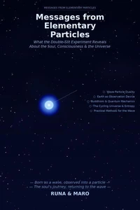 Messages from Elementary Particles