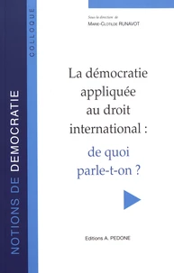 La démocratie appliquée au droit international : de quoi parle-t-on ?