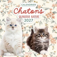 Calendrier Chatons grandeur nature