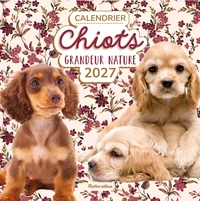Calendrier Chiots grandeur nature