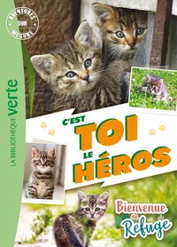 C'est toi le héros