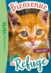 Super chat !