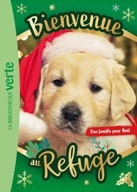 Une famille pour Noël