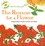 The Reason for a Flower. A Book about Flowers, Pollen, and Seeds