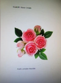 Radcliff Rose Crown
