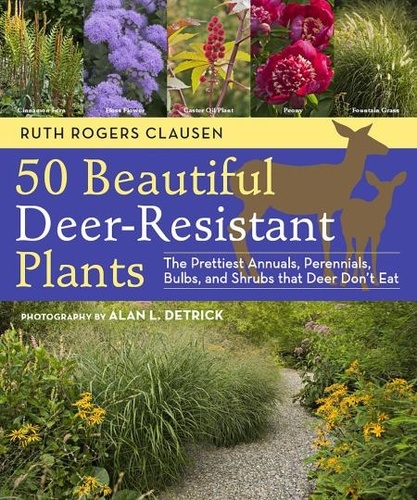 50 Beautiful Deer-Resistant Plants. The Prettiest Annuals, Perennials, Bulbs, and Shrubs that Deer Don't Eat