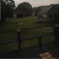Life,Nature, And Other Whimsical Things