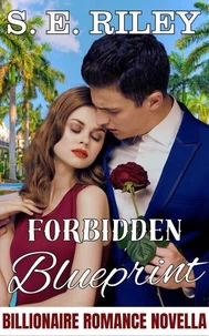 Forbidden Blueprint: A Billionaire Romance Novella