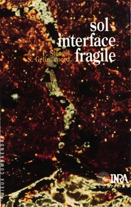 Sol, interface fragile