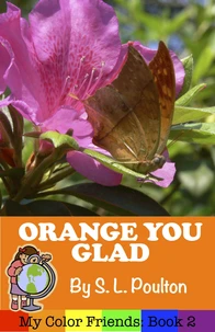 Orange You Glad: A Preschool Early Learning Colors Picture Book