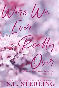 Were We Ever Really Over: A Collection of Small Town Romances Volume 2