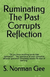  S. Norman Gee - Ruminating The Past Corrupts Reflection.