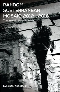 Random Subterranean Mosaic 2012 – 2018 - Time frozen in myriad thoughts