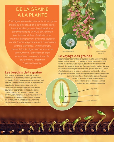 Les plantes