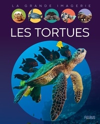 Sabine Boccador - Les tortues.