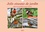CALVENDO Animaux  Jolis oiseaux de jardin (Calendrier mural 2021 DIN A4 horizontal). Observés pendant toute l'année... (Calendrier mensuel, 14 Pages )