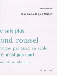 Deux coussins pour Norbert