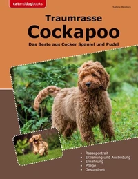 Traumrasse Cockapoo