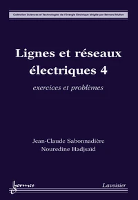 Lignes et réseaux électriques