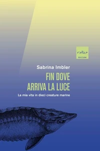 Fin dove arriva la luce