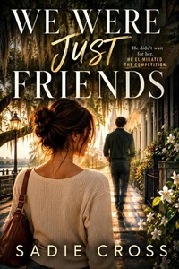 We Were Just Friends