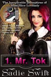 Mr Tok