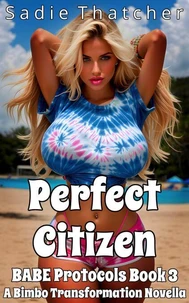 Perfect Citizen: A Bimbo Transformation Novella